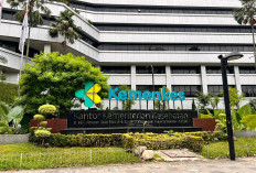 Virus Cicada Dipantau Global, Kemenkes Minta Publik Tetap Waspada