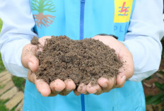 Dari Limbah Jadi Nilai Tambah, PLN Sukses Manfaatkan FABA PLTU untuk Ekonomi Sirkuler