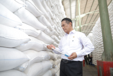 Saat Dunia Krisis Beras, FAO Sebut Indonesia Cetak Rekor Panen Tertinggi Sepanjang Sejarah