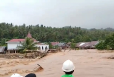 Banjir Halmahera Rendam Ratusan Rumah, Lumpur dan Potongan Kayu Ikut Terbawa Arus