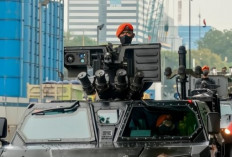 Pengadaan Alutsista Indonesia Harus Kurangi Tergantung Impor: Produksi Lokal Suku Cadang Wajib!