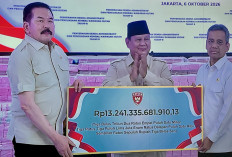 Satgas PKH Setor Rp13,2 Triliun ke Kas Negara, 259 Ribu Hektare Hutan Dikembalikan