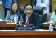 Bambang Pacul: Penanganan Papua Jadi Tanggung Jawab Wakil Presiden