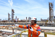 Menuju Energi Masa Depan, Pertamina dan Apache Corporation Bahas Kerja Sama Strategis