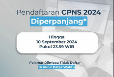 Pendaftaran CPNS 2024 Ditutup Hari Ini 10 September, Periksa Lagi Dokumen yang Dibutuhkan