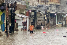 Puluhan RT dan Ruas Jalan Jakarta Terendam Banjir, 8 Pintu Air Berstatus Waspada    