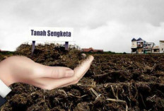 Namanya Terseret Kasus Sengketa Tanah Serpong, Ini Klarifikasi Adi Benny