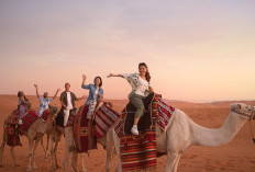 10 Fakta Menarik Pariwisata Arab Saudi, Ternyata Surga Destinasi Belanja