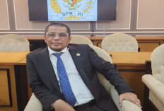 DPR Minta Naturalisasi Dihentikan Jika Gagal Lolos ke Piala Dunia, Arisal: Saya Harap Timnas Isinya Lokal Semua