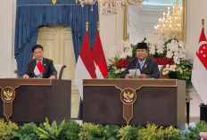 Prabowo Tunjuk Danantara Jadi Eksportir Listrik Indonesia ke Singapura