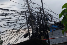 Banyak Pohon Tumbang, Dinas Bina Marga Rapikan Kabel Semrawut di Kawasan Jaksel