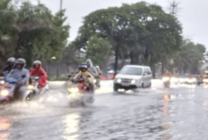 7 Link dan Cara Pantau Banjir Jakarta Hari Ini Gratis, Cari Rute Alternatif Imbas Genangan