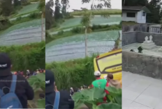 Viral Bus Rombongan Pendaki Gunung Sumbing Tersesat di Kuburan, Cek Faktanya!