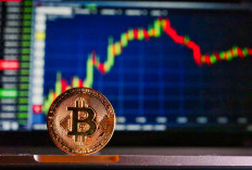 Trading Crypto Makin Cuan, Pintu Catat Lonjakan Transaksi Hampir 500%