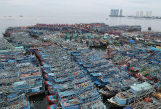 Langsung Turun Tangan Urai Kepadatan Kapal Perikanan di PPN Muara Angke, KKP Relokasi Kapal Nelayan