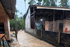 Update BNPB: 961 Korban Meninggal, 1 Juta Pengungsi di Aceh, Sumbar, dan Sumut