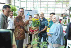 Pemprov DKI Gelar Festival Urban Farming di TIM, Heru Budi: Ini Penting Dalam Pemanfaatan Lingkungan