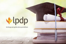 LPDP Buka Lowongan untuk Tenaga Kontrak, Pendaftaran Terakhir Besok, Buruan Daftar! 