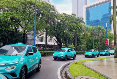 Profil Taksi Green SM yang Picu Kecelakaan Maut Kereta di Bekasi Timur, Beroperasi di Indonesia Sejak 2024