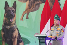 Polri Anugerahkan Medali Kehormatan untuk Reno, Satwa Pelacak K9 Milik Polda Riau