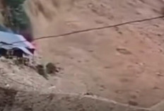 Tebing Longsor Terjang Pohuwato, 5 Penambang Tewas Tertimbun