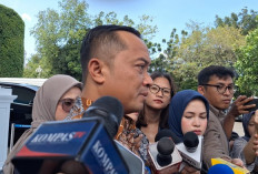 Istana: Perbedaan Pandangan soal Board of Peace karena Penjelasan Belum Utuh