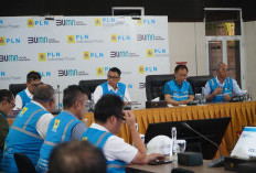 Gubernur Bali Apresiasi Gerak Cepat PLN Atasi Gangguan Kelistrikan yang Berakibat Blackout