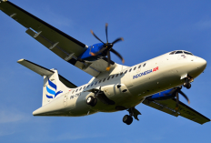 Spesifikasi Pesawat ATR 400 yang Hilang Kontak di Maros, Milik Maskapai Apa?
