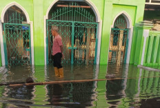 Banjir Rob 1,1 Meter Terjang Indramayu, Ribuan Rumah dan Sawah Terendam