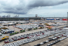 Excellent Growth! Sustainable Performance IPCC Bukukan Laba Rp256 Miliar, All Time High