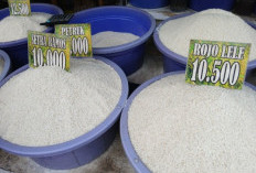 Beras Premium Ternyata Oplosan? 10 Perusahaan Besar Dipanggil Bareskrim