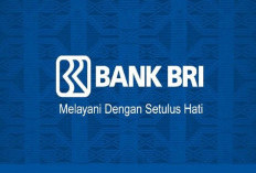 5 Faktor Penting yang Menyebabkan KUR BRI 2023 Ditolak Bank, Jangan Anggap Sepele!