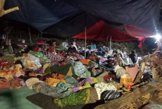 Penampakan Pengungsi Gempa M7.7 NTT, Warga Tidur Beralas Seadanya