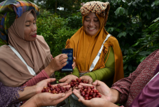 Komitmen Dukung Ketahanan Pangan Nasional, BRI Salurkan KUR Rp65,95 Triliun, Jangkau Ribuan Petani dan Nelayan