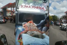 Viral Ambulans Disetop saat Rombongan Presiden Jokowi Melintas di Sampit, Istana Minta Maaf