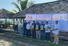 Lawan Impor! 1.500 Hektare Padi PS 08 Carita Guncang Ketahanan Pangan