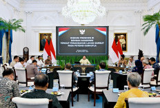 Cegah Karhutla, Prabowo Bentuk Badan Pengelola Gambut dan Mangrove