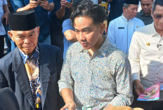 Gibran Ungkap Alasan Sambangi Pj Gubernur DKI Tinjau Proyek di Jakarta