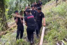 Brimob Bangun Kembali Jembatan Roboh di Sebatik, Akses Utama Anak Sekolah ke MI Tapal Batas