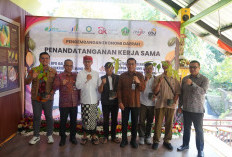 Stakeholder Sektor Pertanian di Tabanan Sambut OJK Kawal Akses Pembiayaan Basis Ekosistem dengan Bank BPD Bali