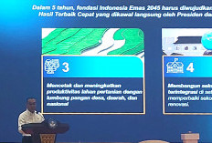 Hardiknas 2025, Mendiktisaintek Pioritaskan Tunjangan Profesi dan Tunjangan Kinerja Dosen   