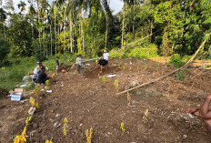Kuburan Massal Korban Galodo di Agam, Ada Jenazah Tanpa Kepala hingga Puluhan Tak Diketahui Identitasnya