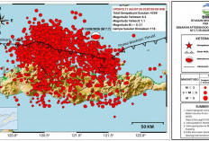 4.258 Gempa Susulan Guncang Flores, BMKG Prediksi Masih Berlangsung 3-4 Minggu