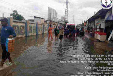 Begini Cara Pemprov DKI Tangani Banjir Rob di Kawasan Pesisir Utara