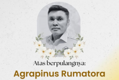 1 Pelaku Penikaman Nus Kei Diduga Atlet MMA, Sekjen Golkar Minta Polisi Usut Secepatnya