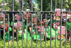 Dukungan Driver Ojol Mengalir untuk Nadiem Makarim, Dekat Secara Historis dan Psikologis