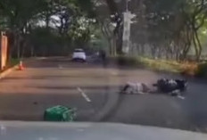 Viral Video Bernarasi Pemotor Jadi Korban Tabrak Lari di BSD, Polisi: Tidak Benar