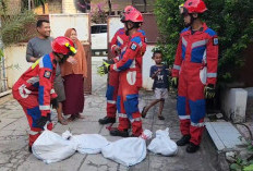 Geger! 4 Biawak Ukuran Jumbo Satroni Rumah Kontrakan di Koja