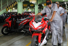 Badai Ekonomi Hantam Daya Beli, Ini Langkah Bisnis Asuransi dan Transportasi Hadapi Krisis