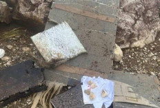 TNI Dalami Temuan Pendaki, Serpihan Diduga Pesawat ATR 42-500 di Gunung Bulusaraung